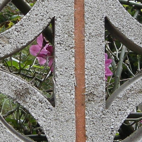 Close-up photo of frost on a metal structure with pink flowers.Macro photo of flowers taken with Nikon CoolPix P5100.