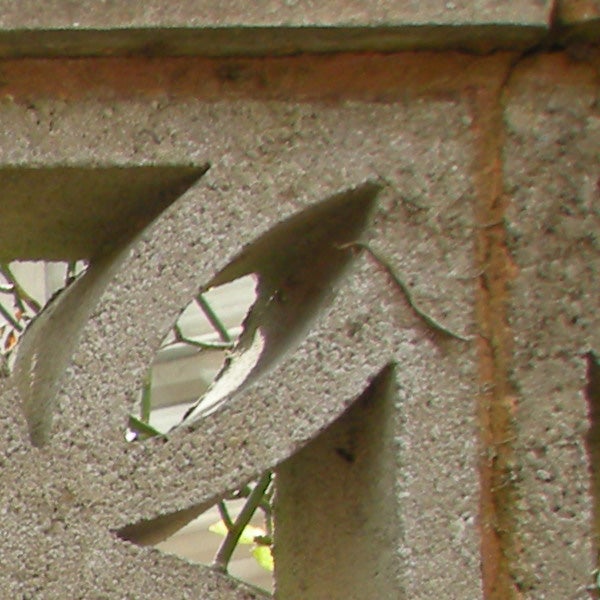 Close-up of a leaf through a decorative concrete block.Close-up of a leaf through a textured pattern.