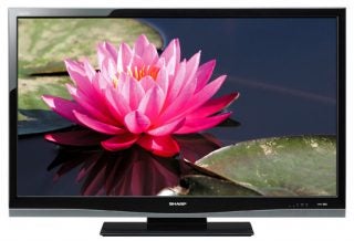 Sharp Aquos LCD TV displaying vibrant pink water lily.