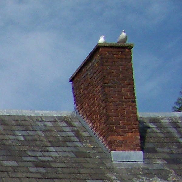 Photo sample from Kodak EasyShare Z8612 IS with birds on chimney.Two pigeons sitting on a brick chimney rooftop.