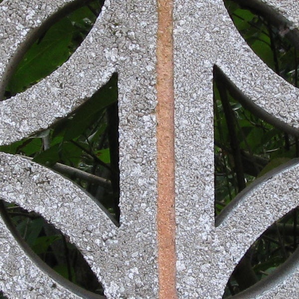 Close-up of a textured object with a green background.