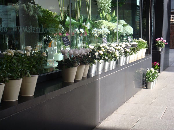 Flower shop exterior with displayed flower arrangements.