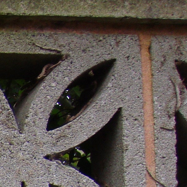 Close-up of foliage through a patterned concrete wall.