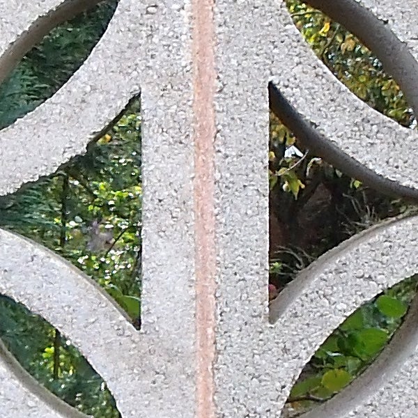 Close-up of a leaf pattern in concrete with greenery background.