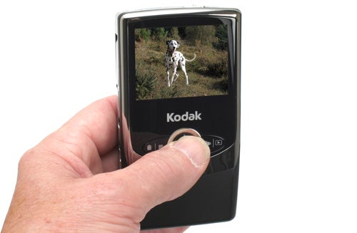 Hand holding Kodak Zi6 Pocket Video Camera with dog on screen.