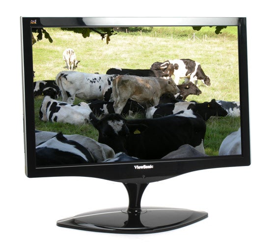 ViewSonic VX1962wm monitor displaying a herd of cows