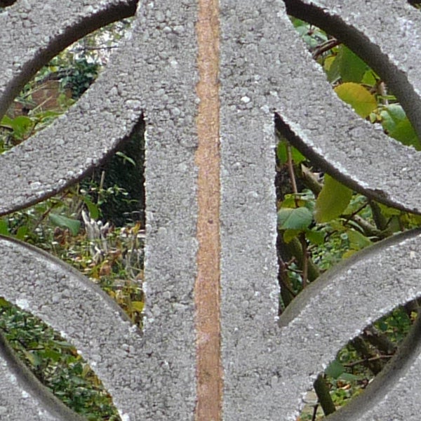 Close-up of ornamental ironwork with frost detail