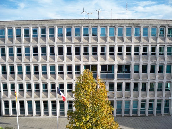 Office building facade with tree and flags, clear sky.