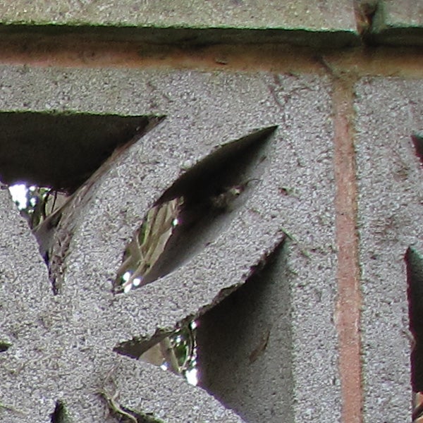 Close-up of leaf-patterned carving with soft details.