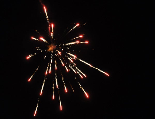 Firework captured at night by Nikon D90 camera.