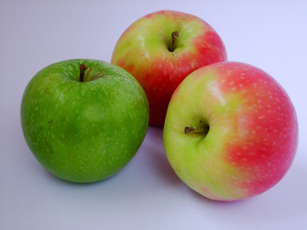High-resolution photo of three colorful apples.