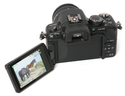 Panasonic Lumix DMC-G1 camera with articulated screen displaying horse.