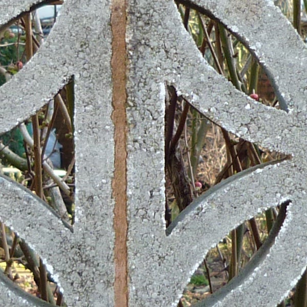 Close-up of frost-covered metal garden fence.