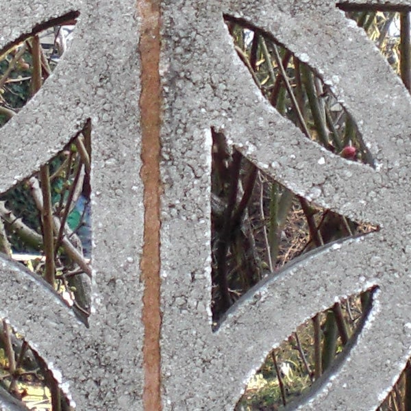 Close-up of frost on a decorative metal fence.