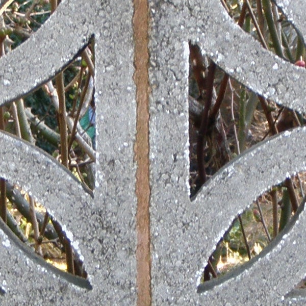 Close-up of frost on metal garden decoration