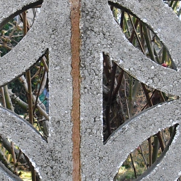 Close-up of a lichen-covered decorative ironwork fence