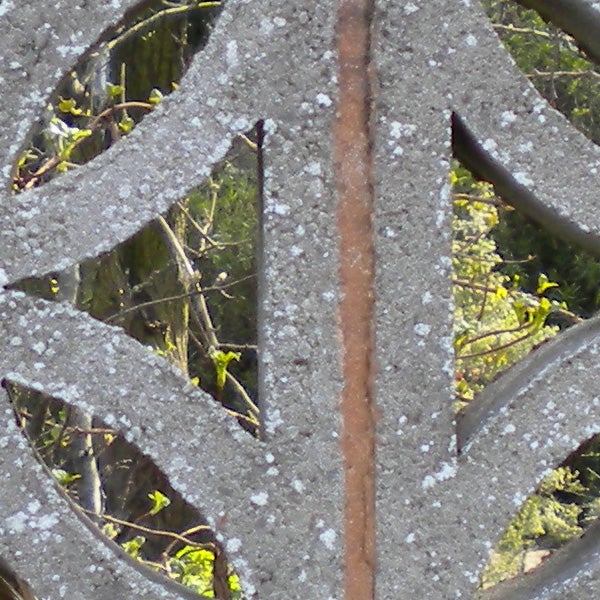Close-up photo of foliage through decorative ironwork, slight frost.Close-up of a leaf pattern with a spider web.