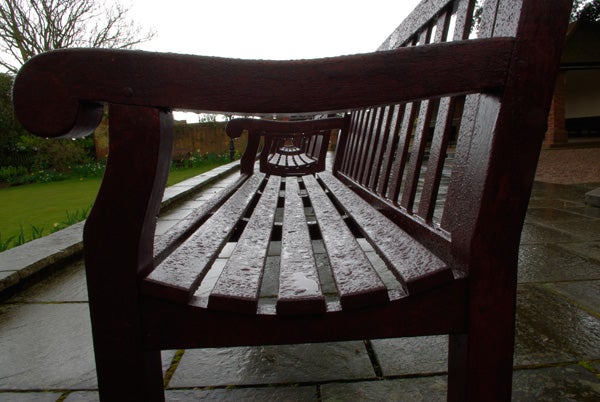 Wet wooden bench perspective photo likely taken with DSLR.