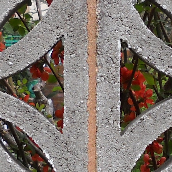 Close-up of a concrete decoration with leafy background.