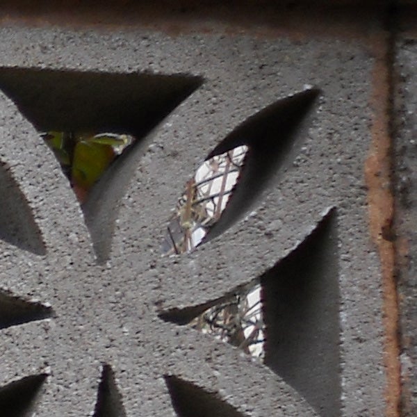 Decorative concrete block with glimpse of colorful bird through opening.