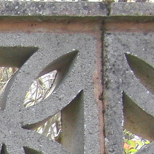 Close-up of leaves through decorative concrete block.