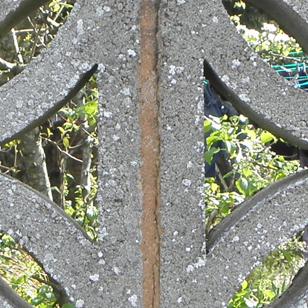Close-up of a concrete structure with lichen growth.