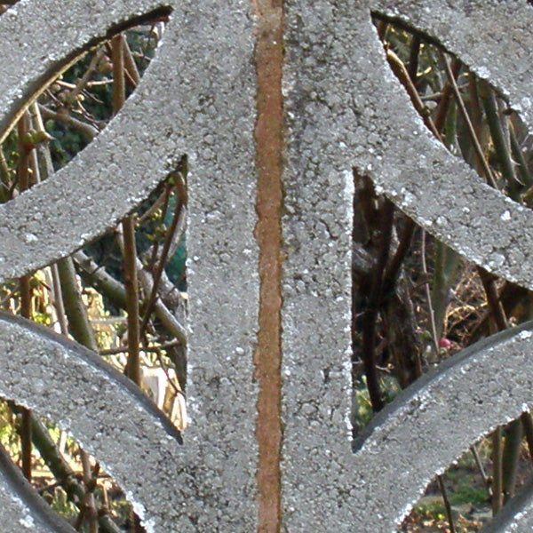 Frost-covered metal fence with intricate design.