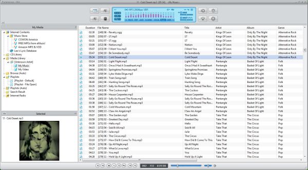 Screenshot of Cowon iAudio D2+ music player interface.