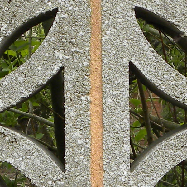 Close-up photo of lichen on metal structure.