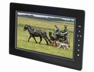 Samsung SPF-105P Digital Photo Frame displaying an image