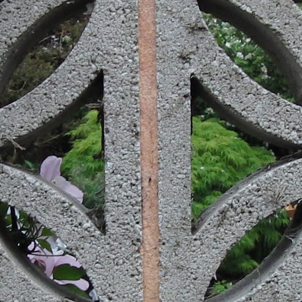 Close-up of greenery through a gray ornate metal fence.