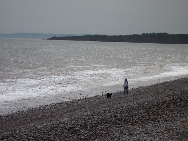 Person and dog walking on a pebble beach with waves