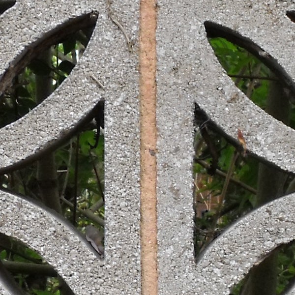 Close-up photo of a decorative concrete screen block.