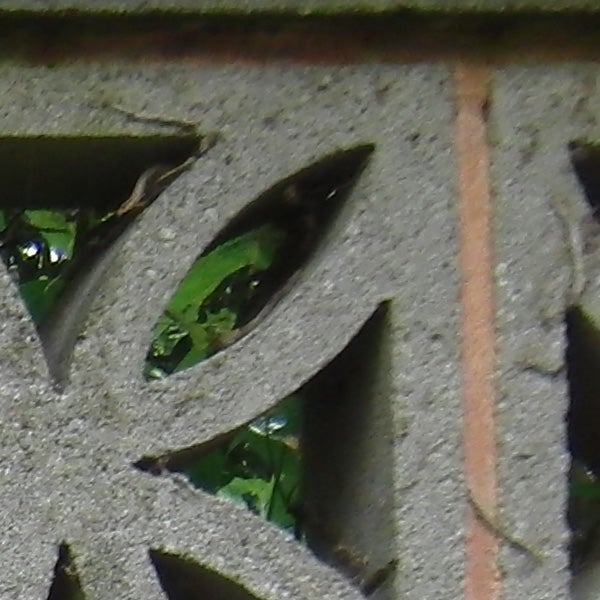 Close-up of foliage through geometric cutouts in concrete.