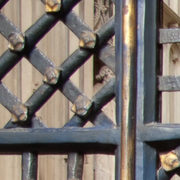Close-up of wrought iron gate with rust and background.