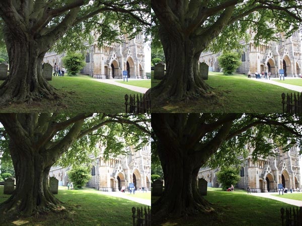 Comparison of four photos showcasing Olympus E-620 camera quality.