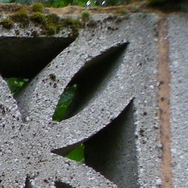 Close-up of a leafy pattern on a concrete surface.
