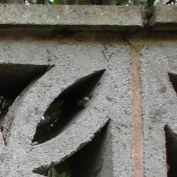 Close-up of foliage through a decorative wall, slightly out of focus.