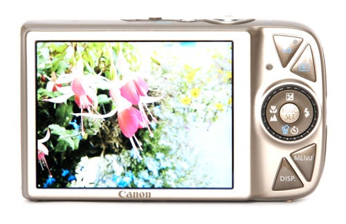 Canon IXUS 990 IS camera displaying a flower photo.