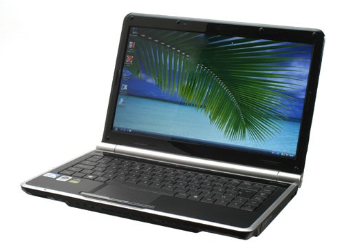 Packard Bell Easynote NJ65 laptop with screen on displaying palm leaves.