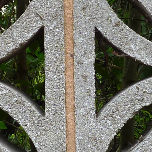 Close-up photo of a leafy background through a geometric pattern.