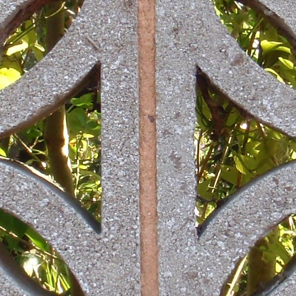 Close-up photo through a metallic structure taken by Olympus mju Tough 6010.