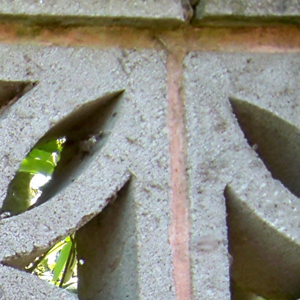 Close-up of leafy foliage through a decorative concrete block.