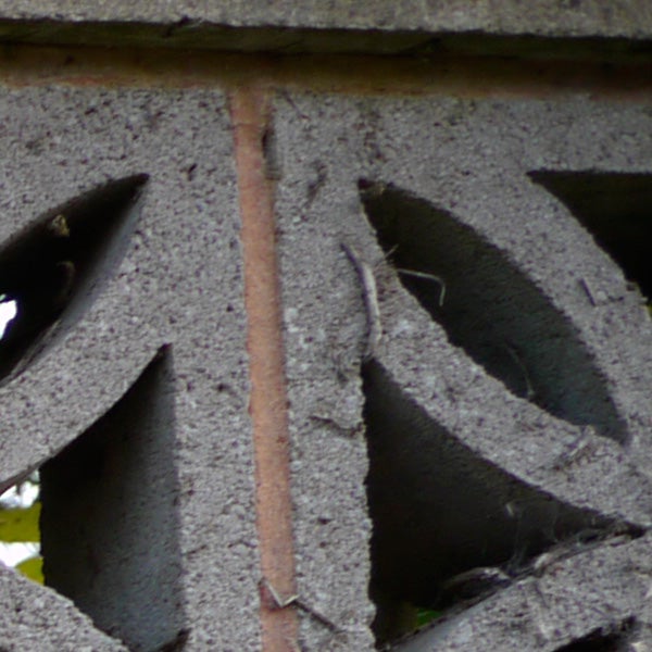 Close-up of concrete decorative block taken by Panasonic Lumix DMC-GH1.