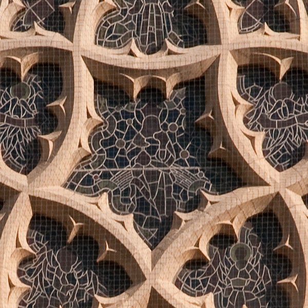 Close-up of intricate pattern demonstrating Nikon D300s image quality.