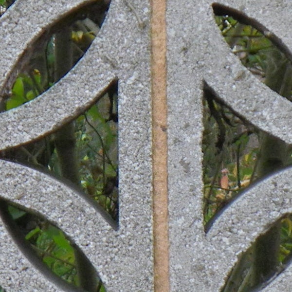 Close-up of intricate stonework with greenery in the background.