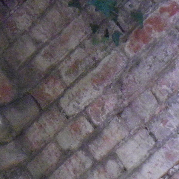 image of a brick wall, possible camera malfunction.