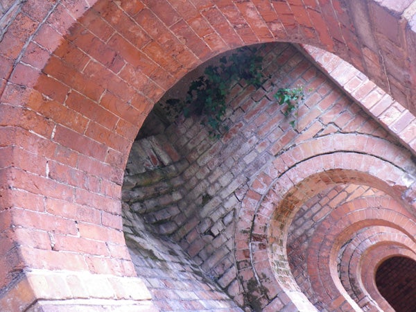 Brick arches of an old structure with ivy growth