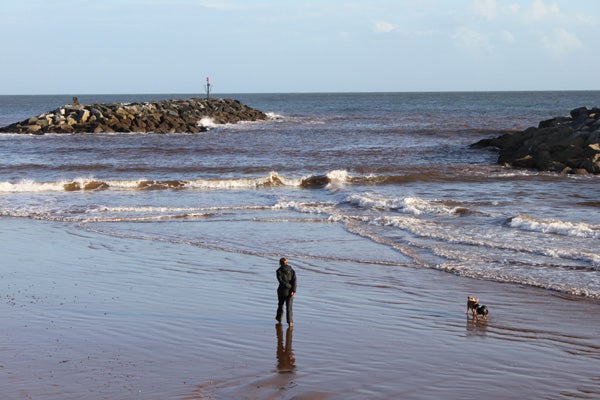 Person and dog on beach with waves and rocks in background.