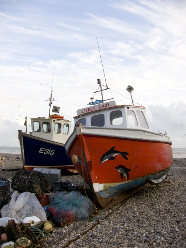 Boats on a pebbled beach with fishing gear and seagulls.